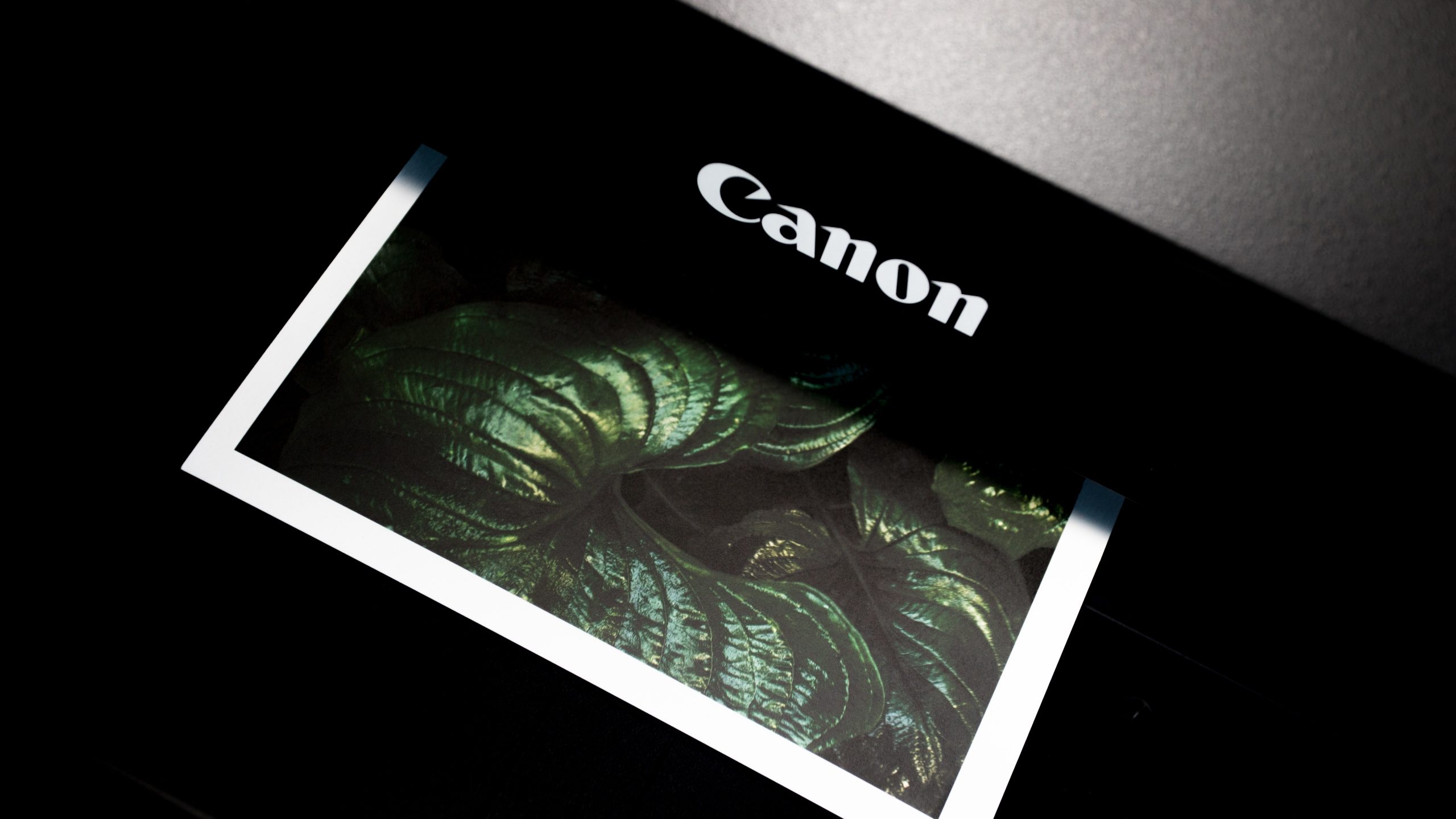 Cara reset printer Canon